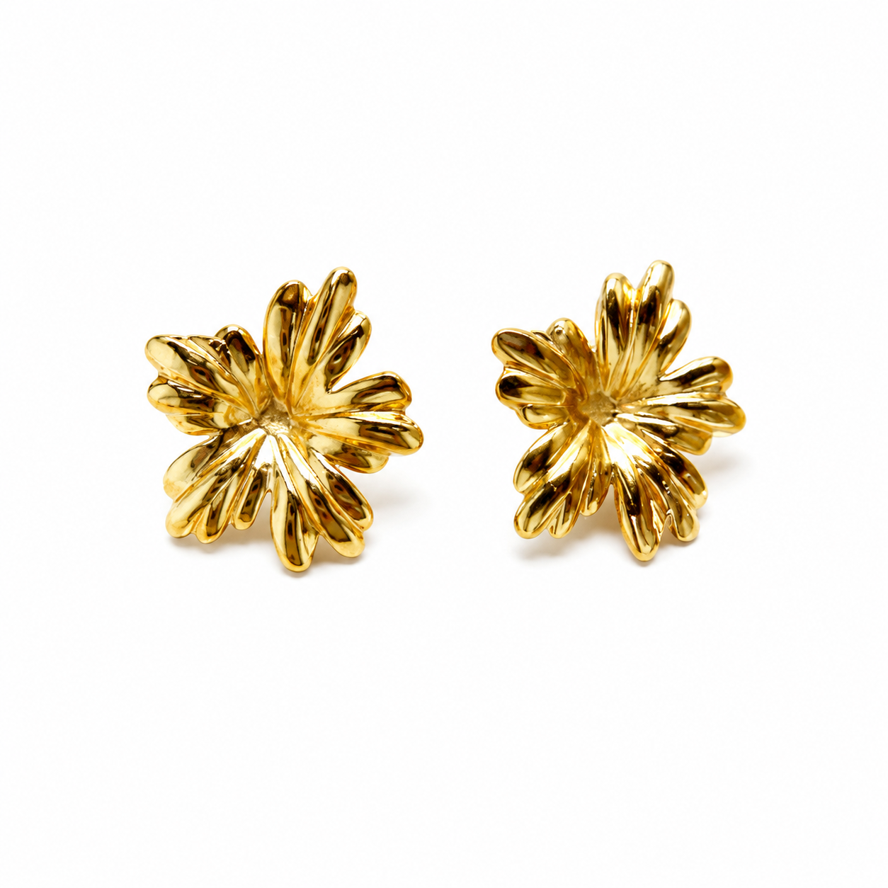 Aretes Ivania