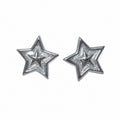 Silver star energy
