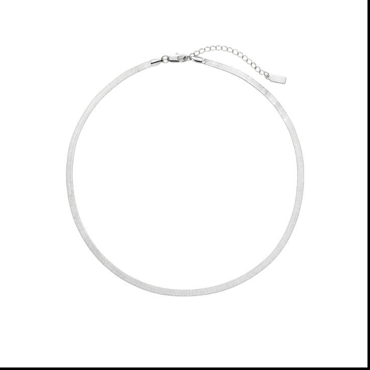 Collar Sneak Plateado